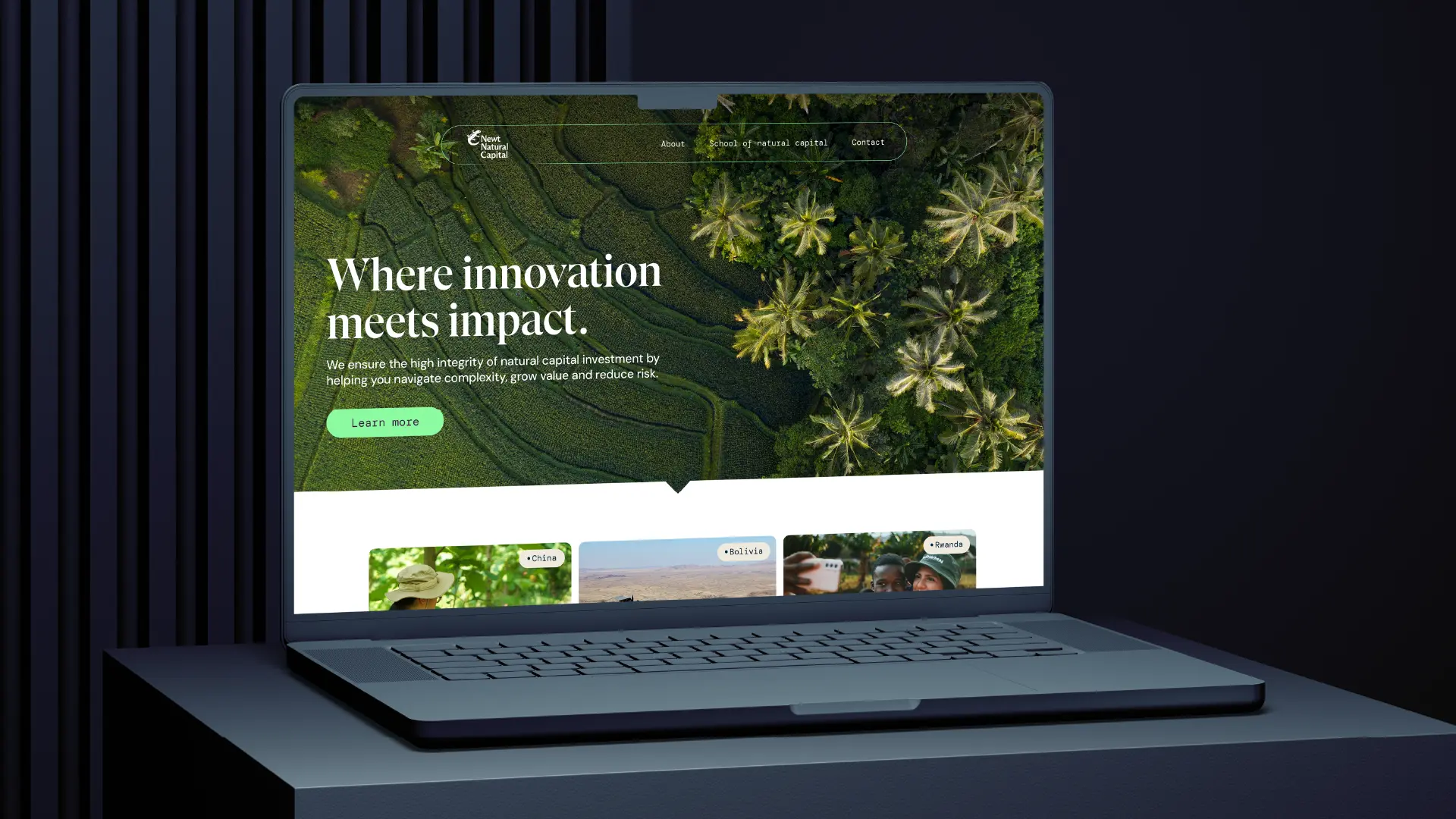 Example of work for Newt Natural Capital