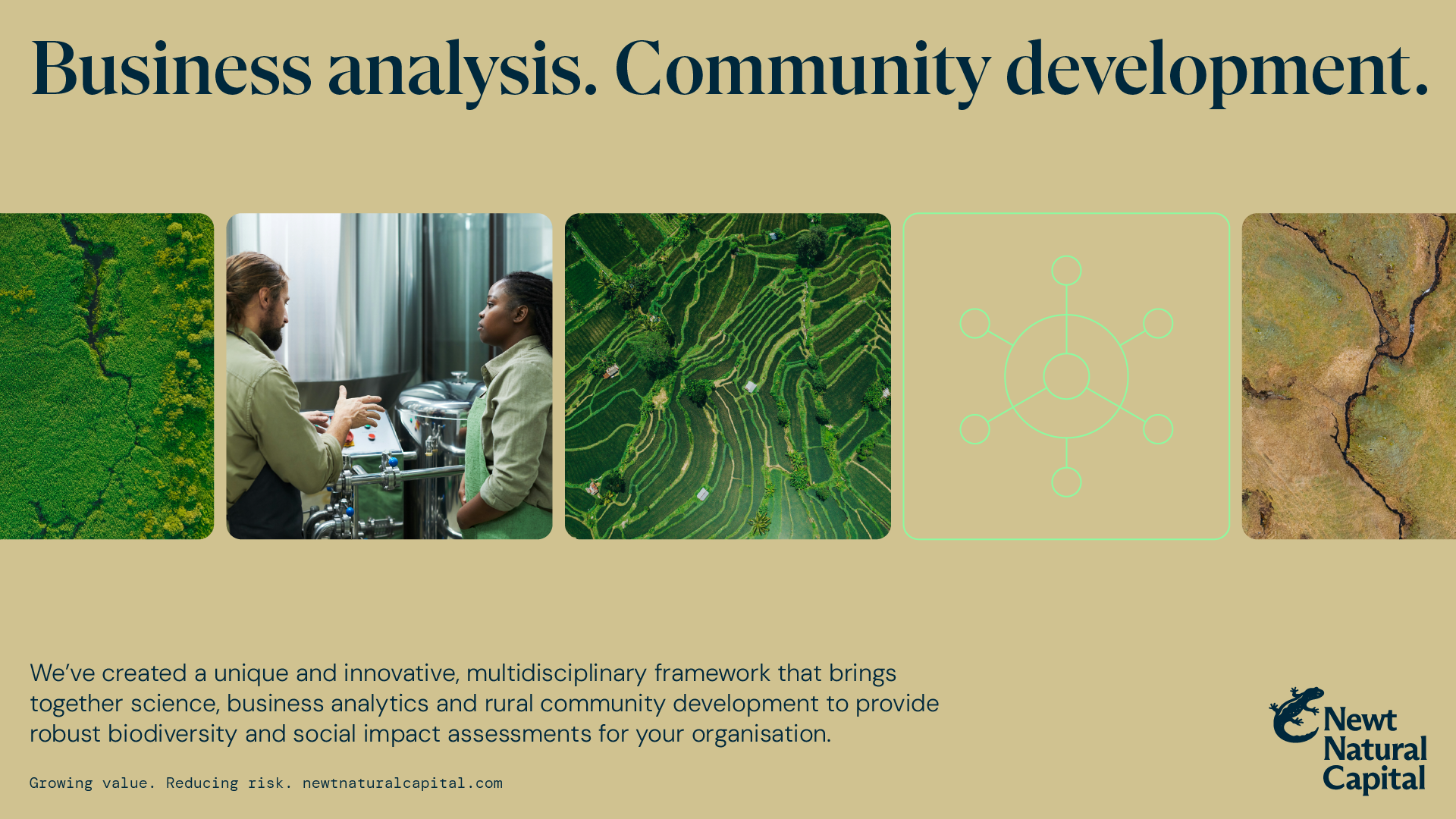Example of work for Newt Natural Capital