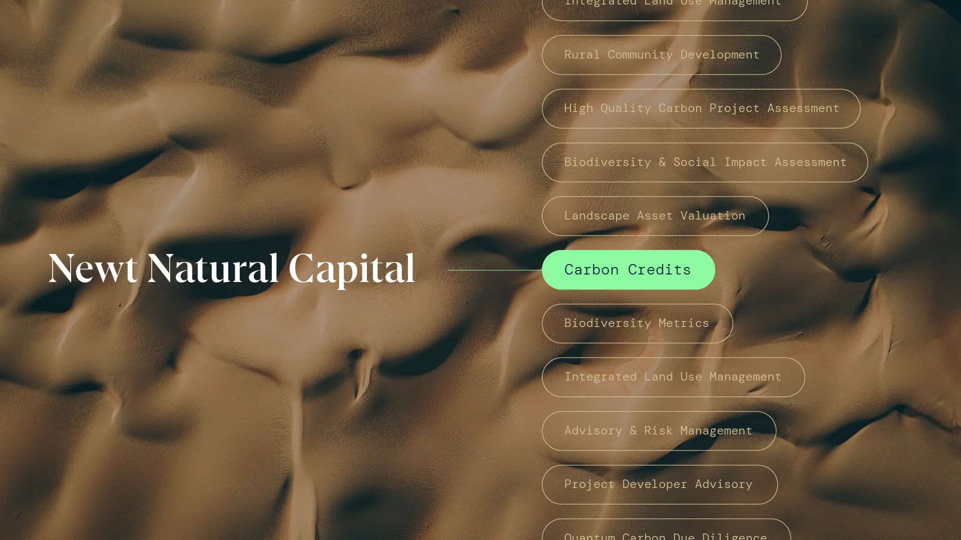 Newt Natural Capital: making ripples in their natural habitat