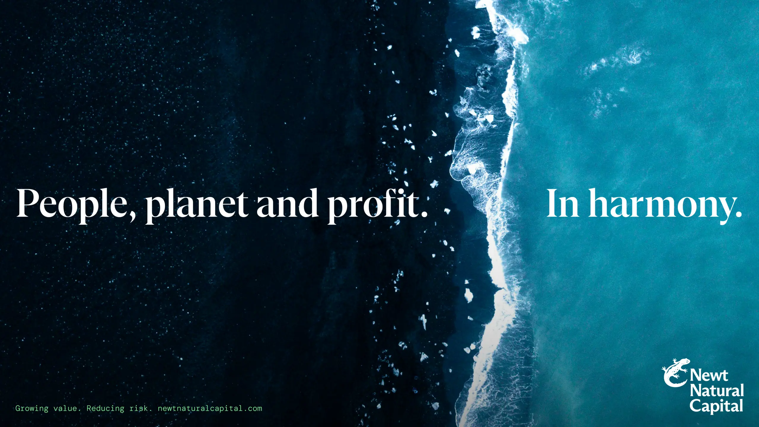 Image showing the brand work for Newt Natural Capital