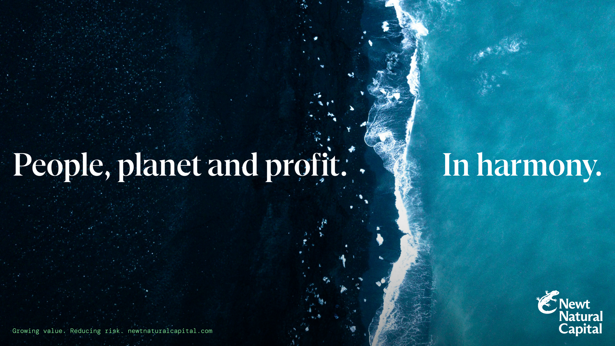 Image showing the brand work for Newt Natural Capital