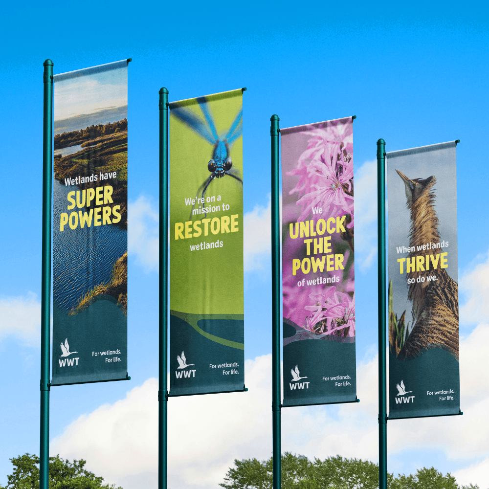 Image showcasing work for WWT
