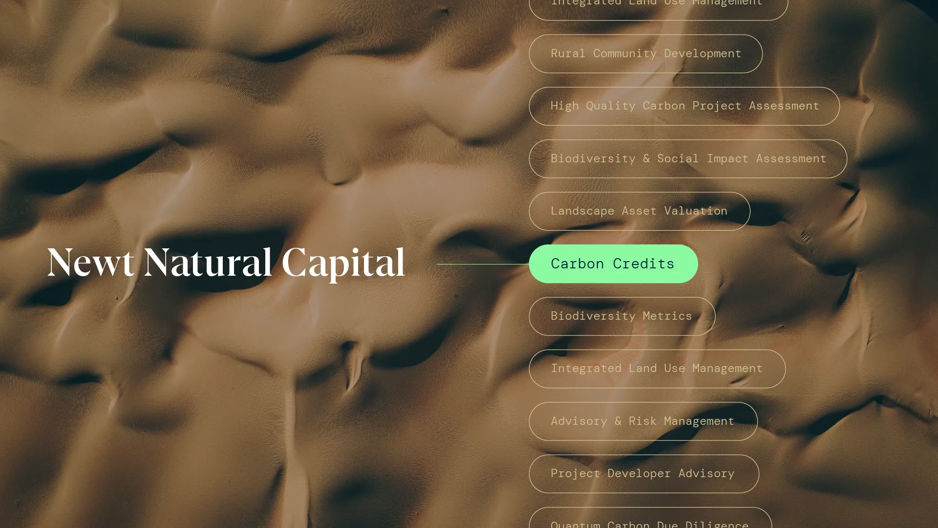 Newt Natural Capital: making ripples in their natural habitat