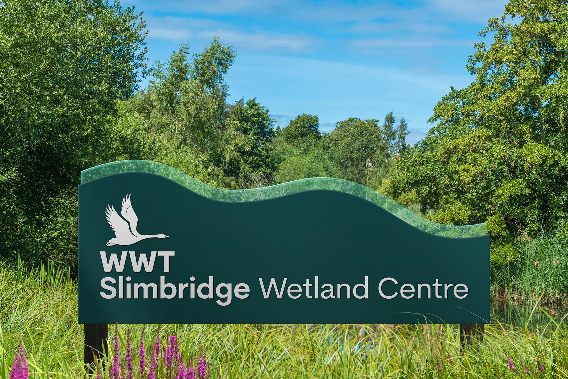 Bringing WWT’s Brand to Life Across the UK’s Wetlands
