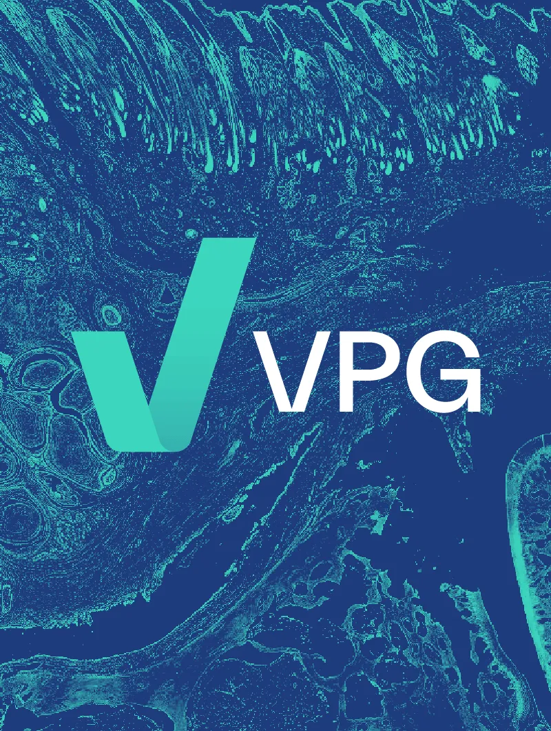 Image showcasing work for VPG