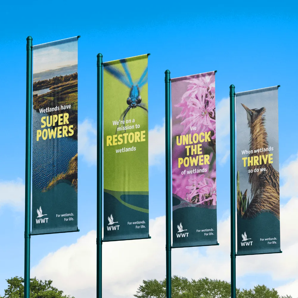 Image showcasing work for WWT