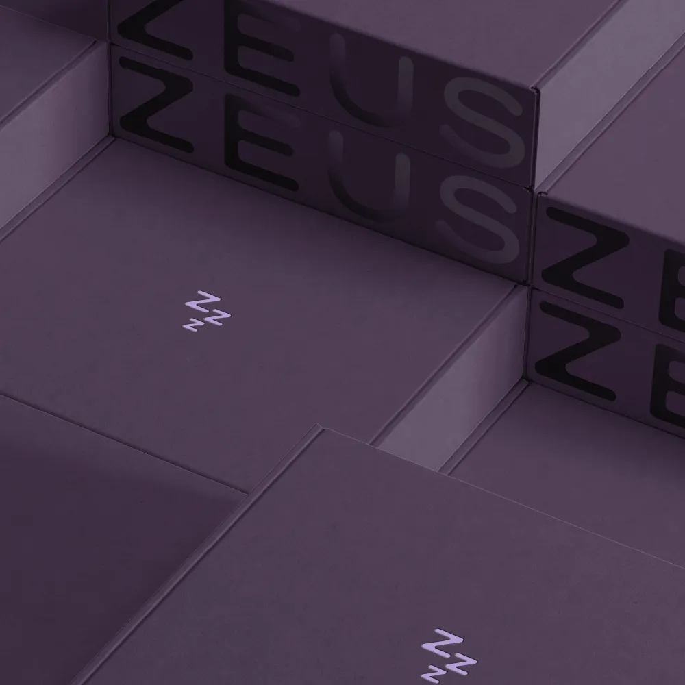 Image showcasing work for Zeus