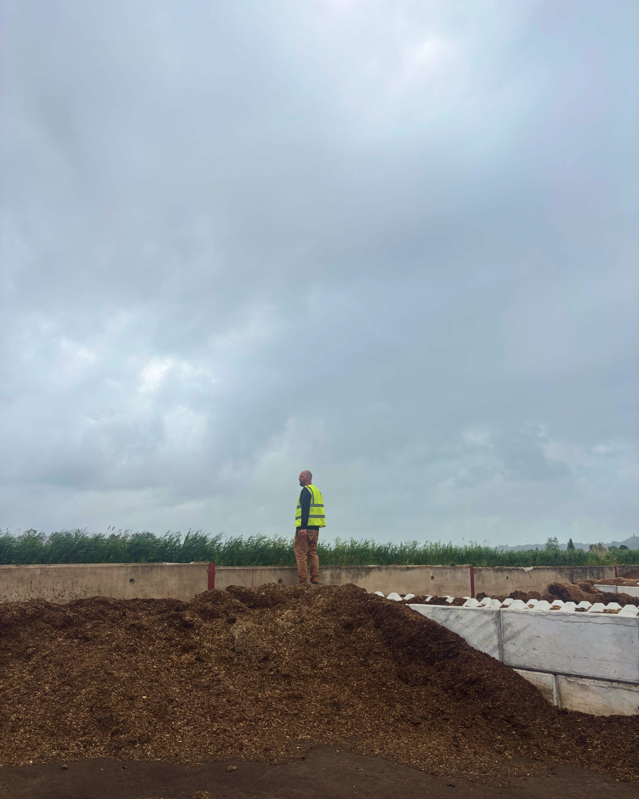 Rich standing on compost at Durstons, taking in the scale of the operation