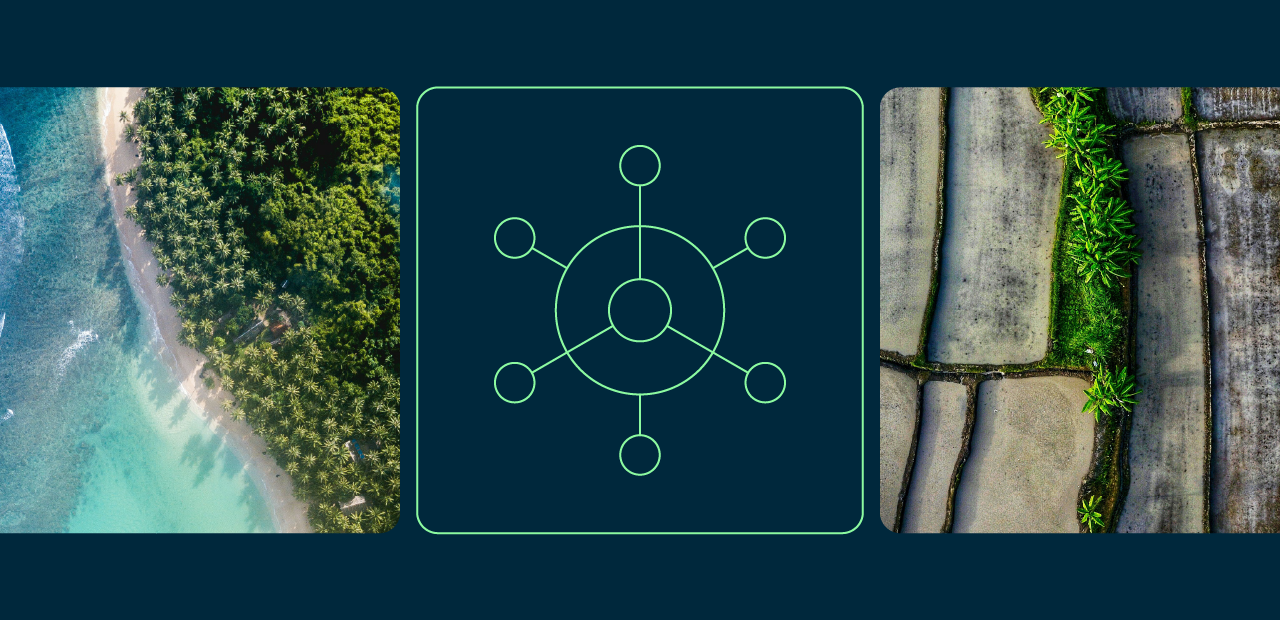 Newt Natural Capital